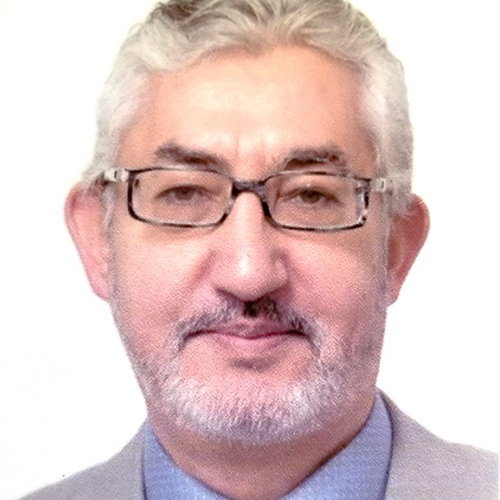 Prof. Tarek Hegazy, PhD, PEng, F.CSCE